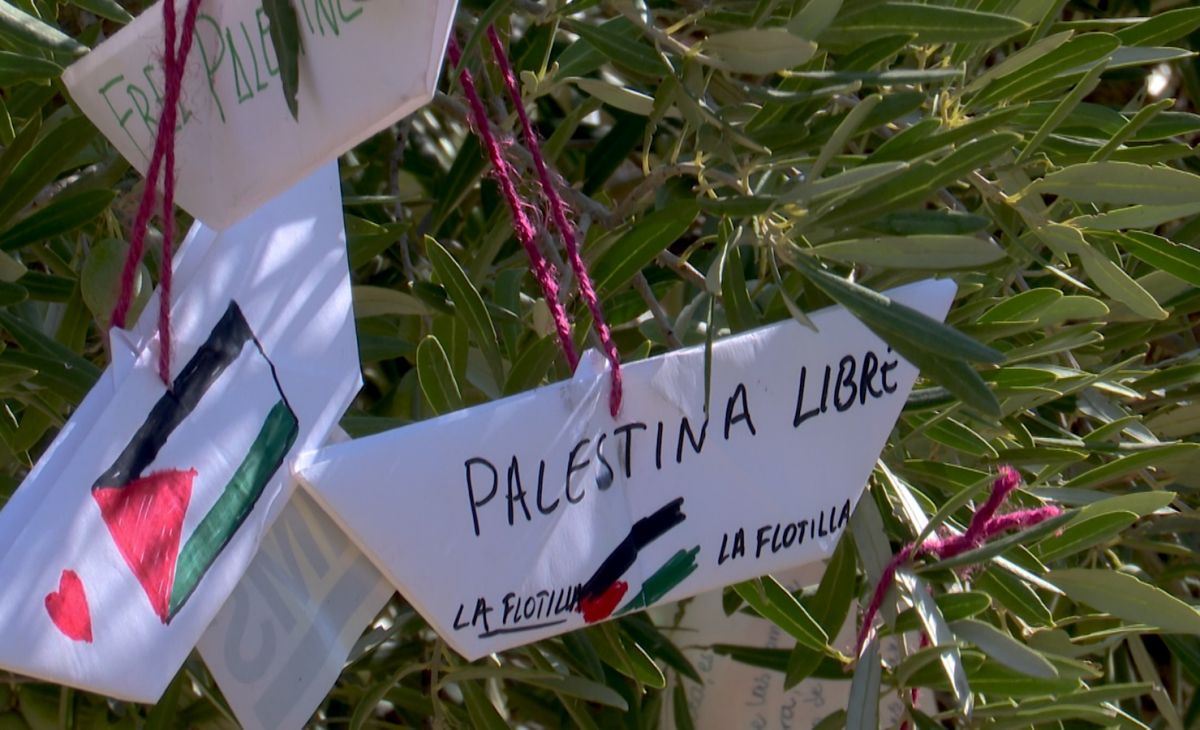 Jamal, la guerra que no acaba y el olivo de la paz