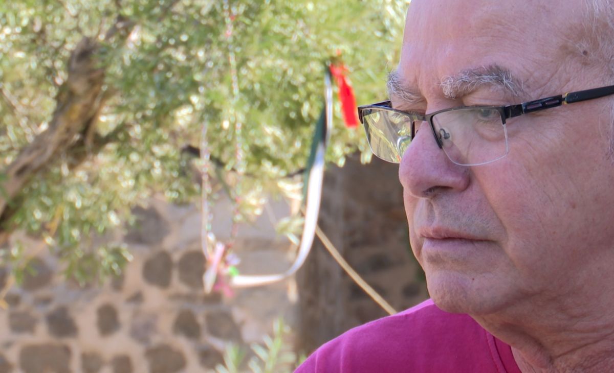 Jamal, la guerra que no acaba y el olivo de la paz