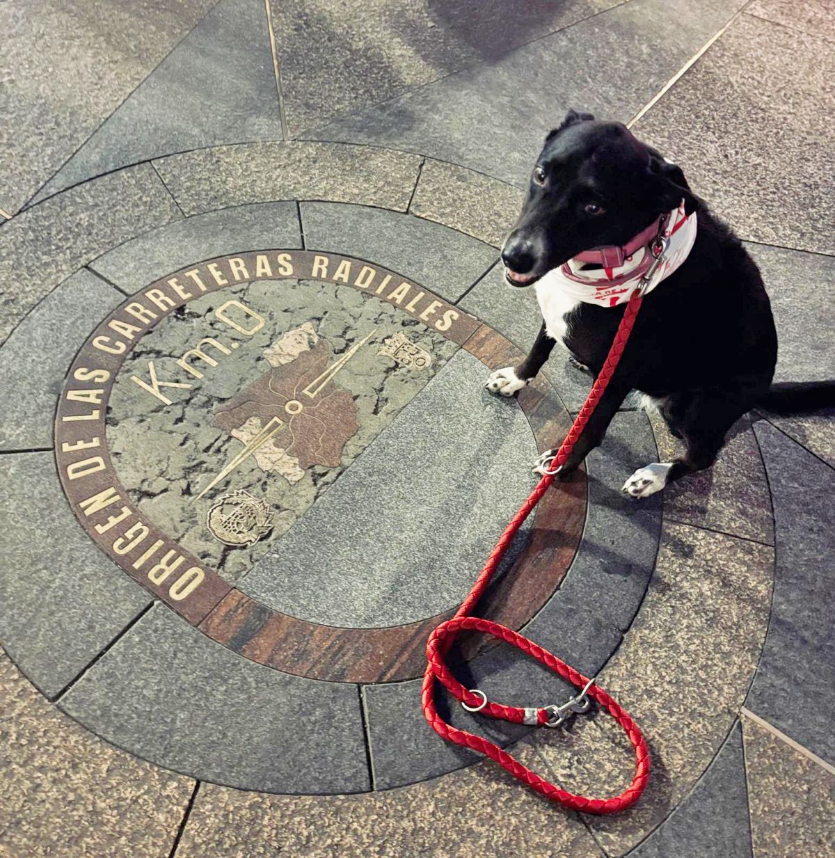 Las huellas de Salsa sobre las de Santiago, doce docenas de kilómetros y el camino a Uclés que soñó Manuel Rossi