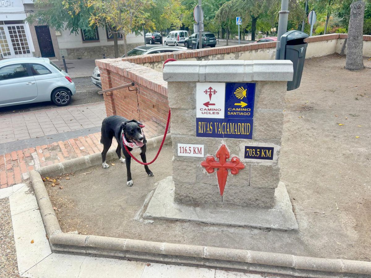 Las huellas de Salsa sobre las de Santiago, doce docenas de kilómetros y el camino a Uclés que soñó Manuel Rossi