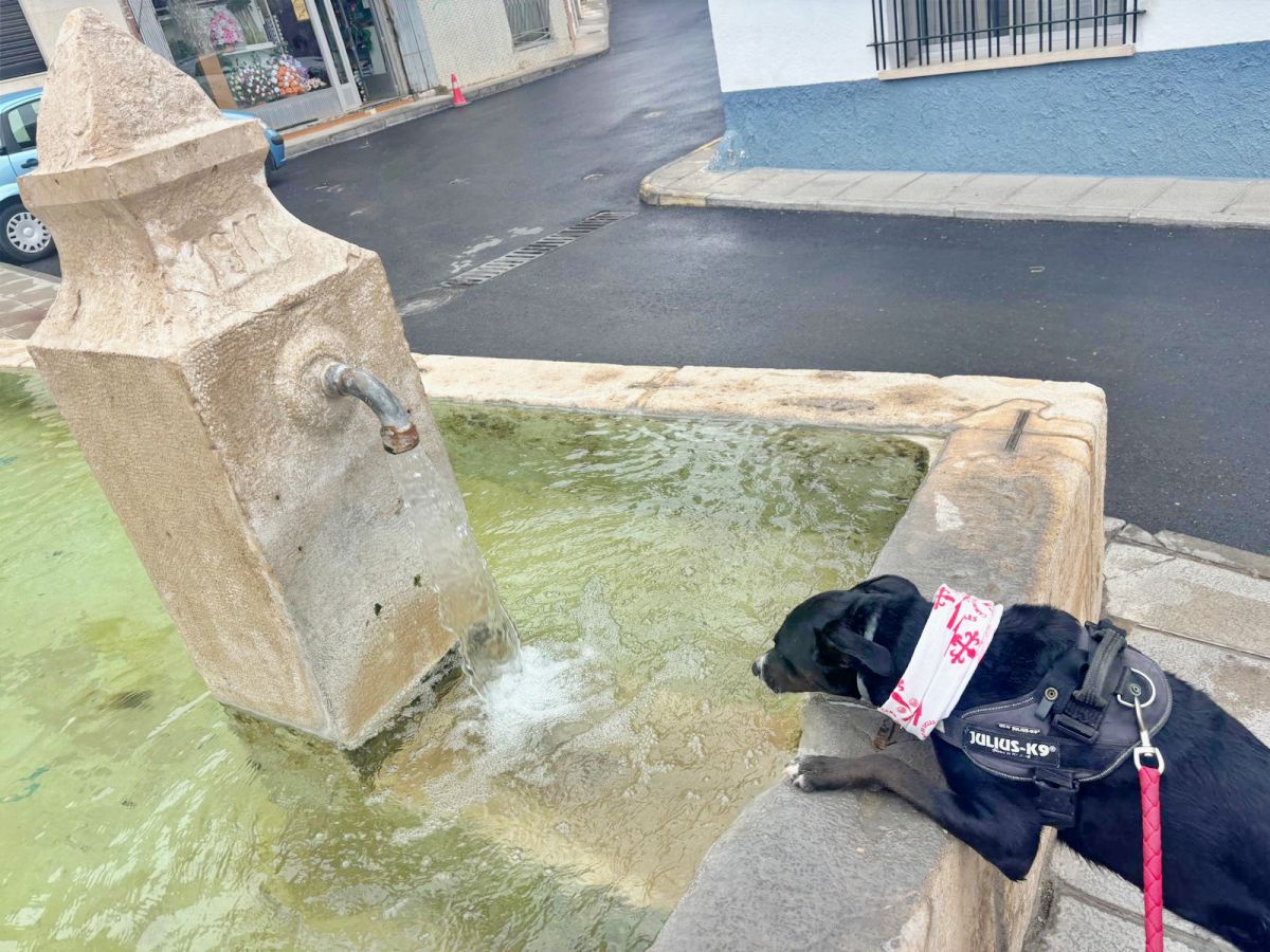 Las huellas de Salsa sobre las de Santiago, doce docenas de kilómetros y el camino a Uclés que soñó Manuel Rossi