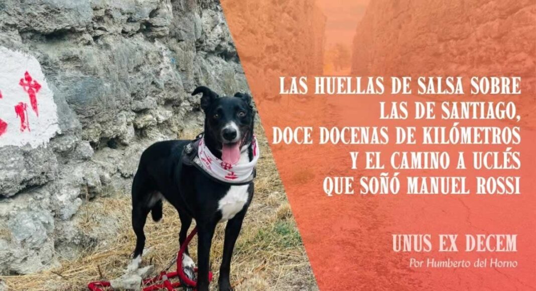 Unus Ex Decem - Las huellas de Salsa sobre las de Santiago