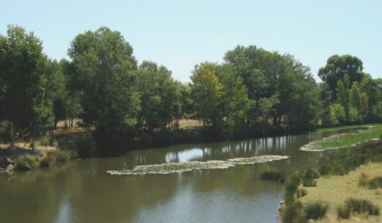 Caminar sobre lava antigua en Ciudad Real: una escapada al Cerro de los Santos