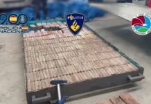 Desmantelada la «oficina» del Cartel Nueva Jalisco en España, que tenía almacenes en Talavera