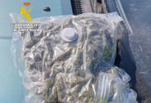 Detenido en Caudete tras encontrar 400 gramos de cogollos de cannabis ocultos bajo la tapicería