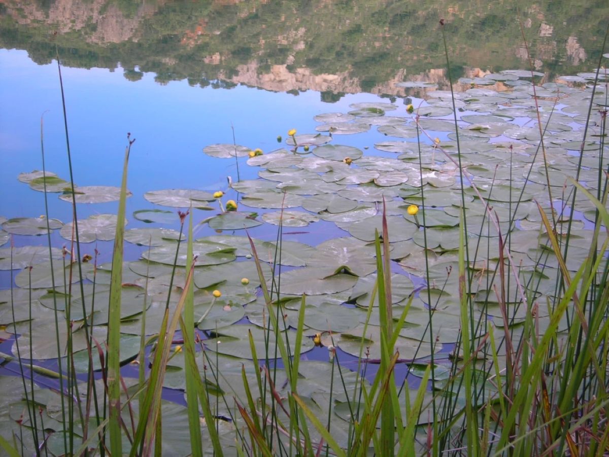 Las nueve rutas que llegan al Santuario de Cortes, el "Camino de Santiago" de Albacete