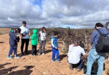 La UCLM impulsa la ciencia ciudadana implicando a personas con discapacidad en la investigación sobre biodiversidad