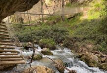 La Ruta del Zarzalar: caminar sobre el río Taibilla entre puentes y pasarelas en Nerpio