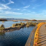 Ecologistas alertan de la aparición de gripe aviar en las Tablas de Daimiel y piden revisar la gestión del parque