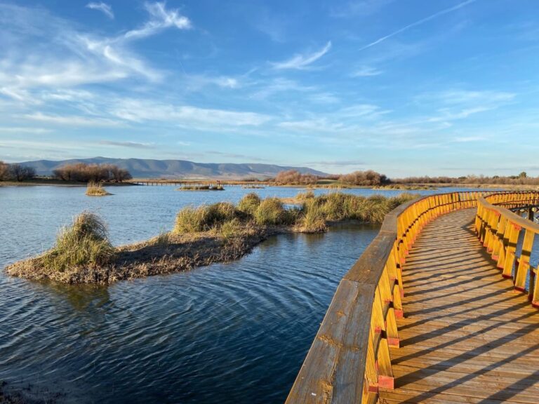 Ecologistas y vecinos advierten del riesgo de instalar biometano cerca de Las Tablas de Daimiel