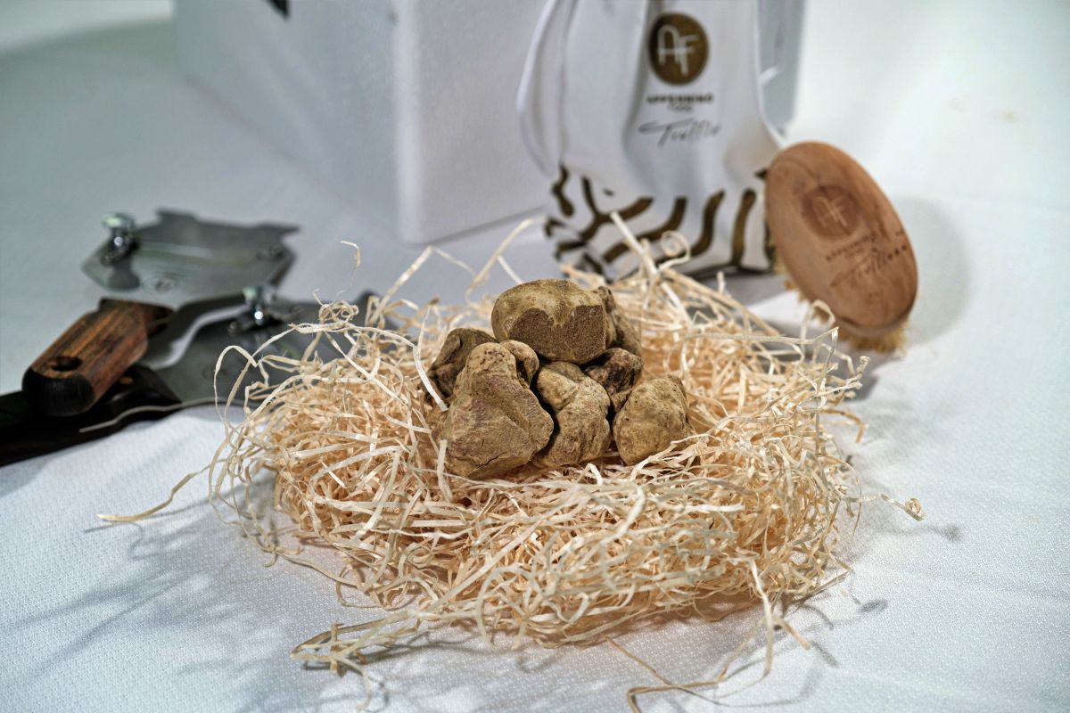 Marquinetti recupera su pizza más exclusiva