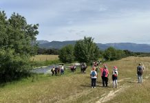 La Diputación de Toledo relanza sus Paseos Naturales para descubrir la provincia a través de rutas guiadas Paseos por la naturaleza