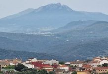 40 empresas se dan cita este sábado en la Feria Gastronómica ‘Sabores de pueblo’ de Almendral de la Cañada