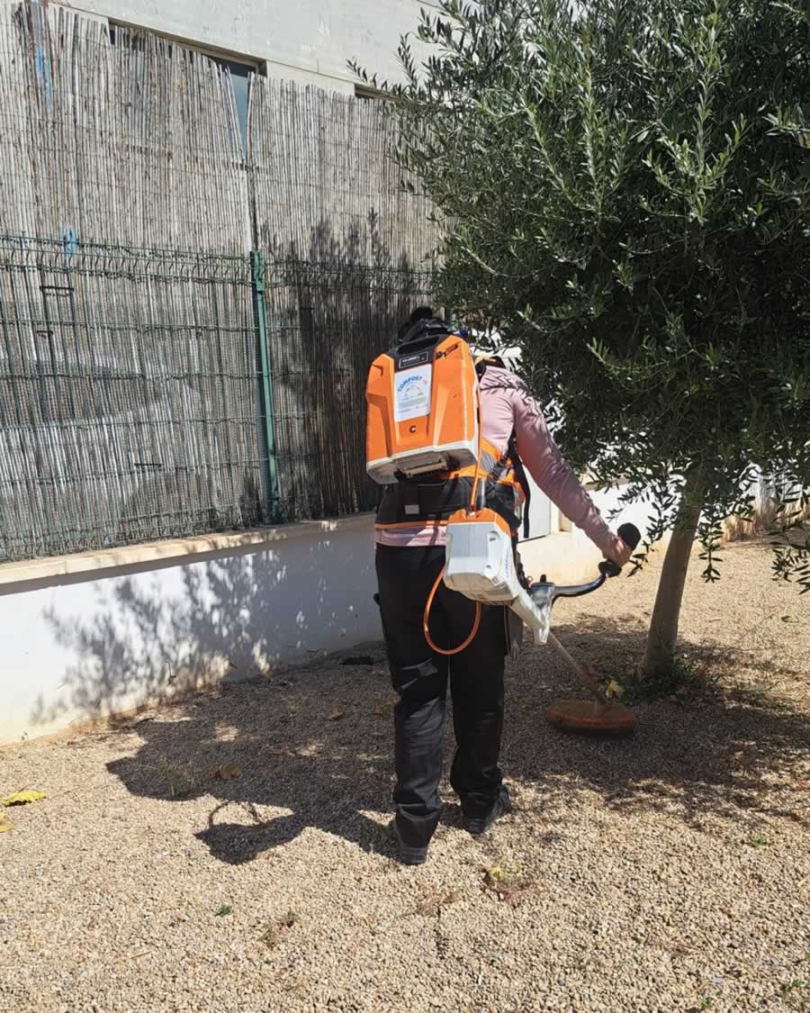 Cinco amigos, dos canastas y dos mil oportunidades