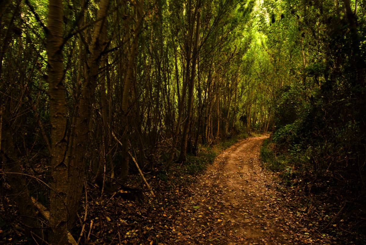 El cañón de Guadalajara que fue mar durante el Jurásico: el Barranco del río Dulce