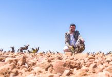 Nace la Guía de Vinos de Castilla-La Mancha 2025, acompañada por el lanzamiento de una nueva web