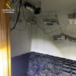 Detenido en Cuenca tras robar en viviendas y cultivar marihuana