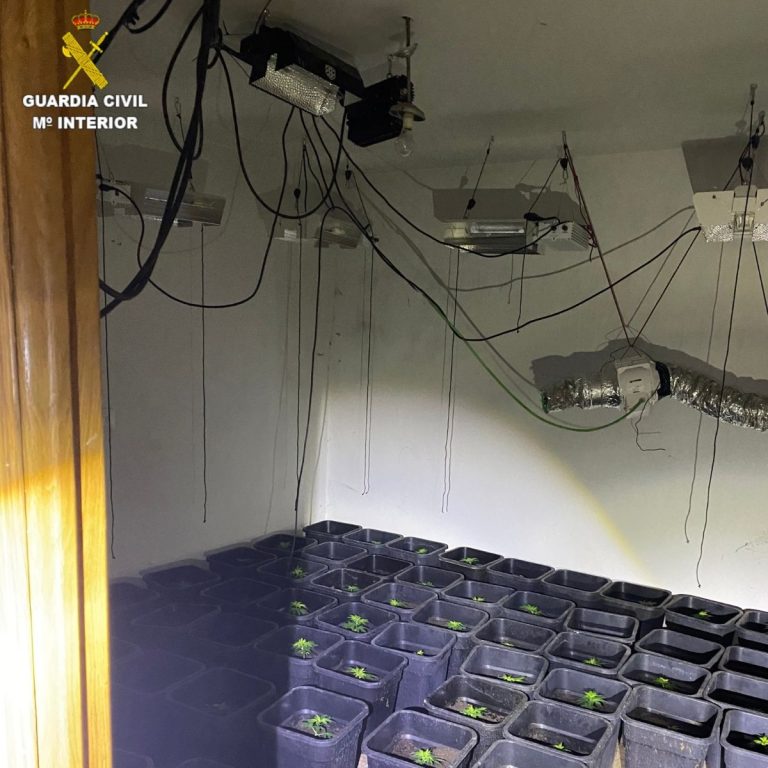 Detenido en Cuenca tras robar en viviendas y cultivar marihuana