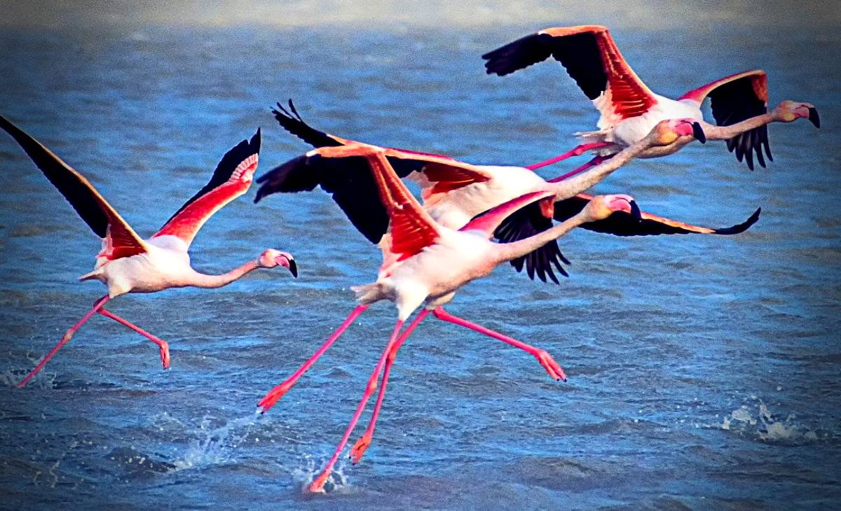 Parques, lagunas, un puente, un desfiladero y un mojón: los centinelas de un territorio