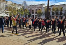 El Consejo Municipal de la Discapacidad de Manzanares manifiesta su compromiso con la inclusión plena y la accesibilidad universal