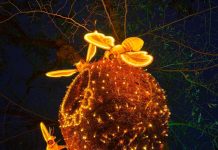 Albacete se ilumina por Navidad: así luce el espectáculo ‘Lucidum Natura’ en el Parque de los Jardinillos