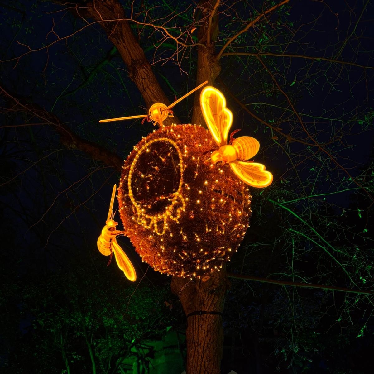 Albacete se ilumina por Navidad: así luce el espectáculo ‘Lucidum Natura’ en el Parque de los Jardinillos