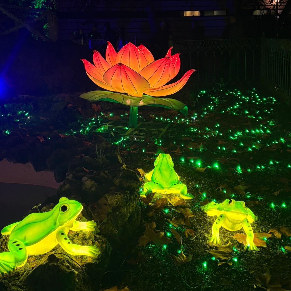 Albacete se ilumina por Navidad: así luce el espectáculo ‘Lucidum Natura’ en el Parque de los Jardinillos