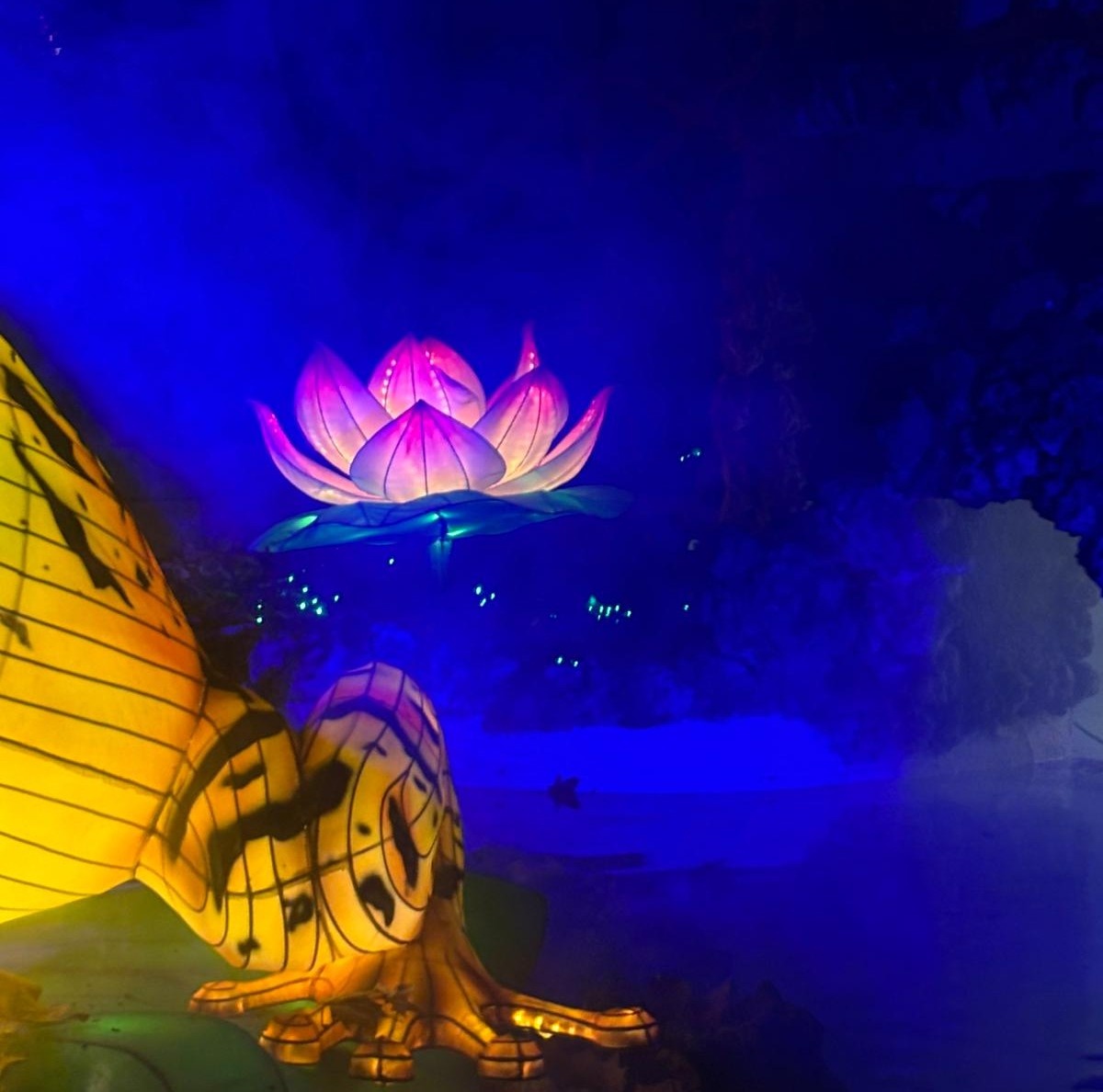 Albacete se ilumina por Navidad: así luce el espectáculo ‘Lucidum Natura’ en el Parque de los Jardinillos