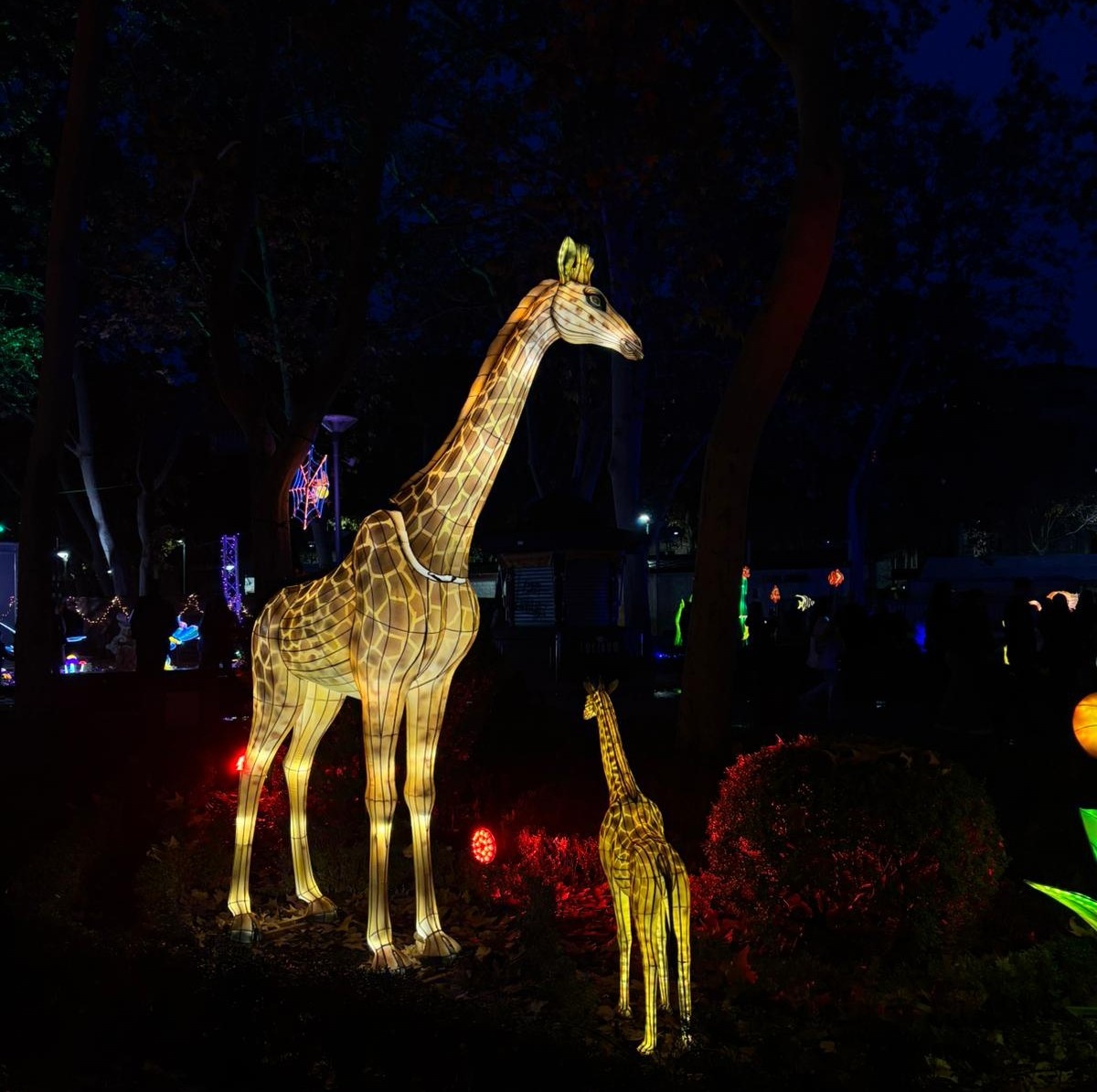 Albacete se ilumina por Navidad: así luce el espectáculo ‘Lucidum Natura’ en el Parque de los Jardinillos