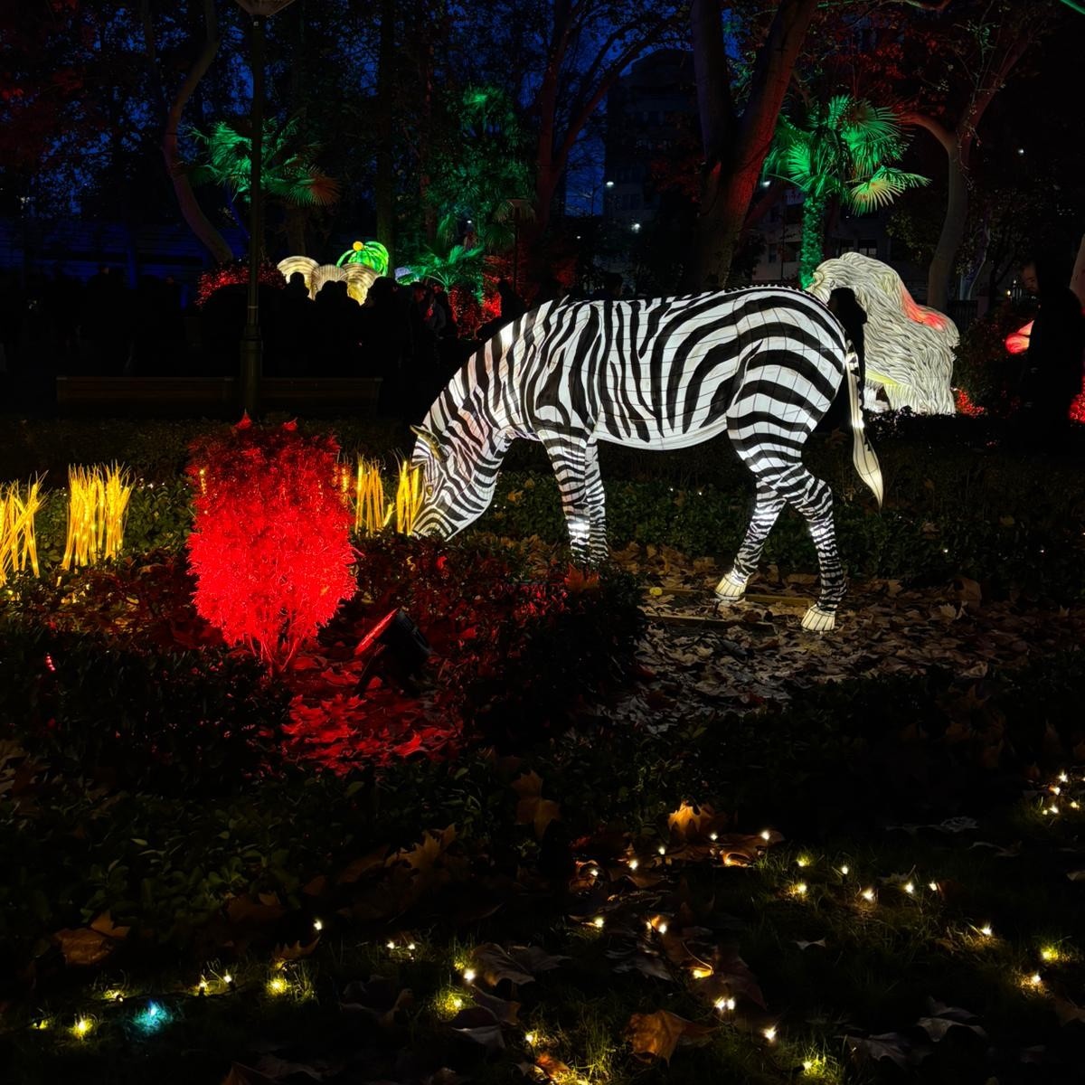 Albacete se ilumina por Navidad: así luce el espectáculo ‘Lucidum Natura’ en el Parque de los Jardinillos