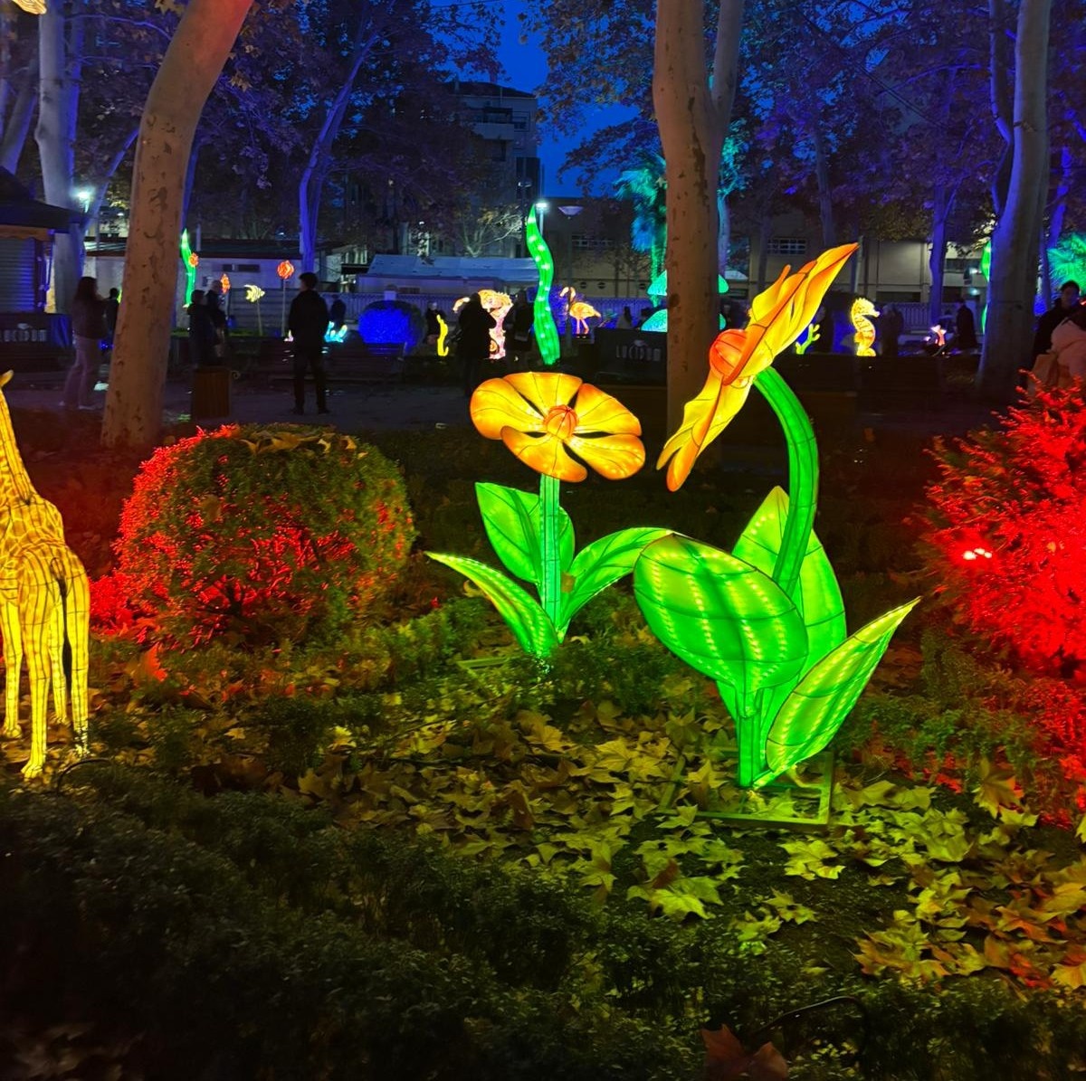 Albacete se ilumina por Navidad: así luce el espectáculo ‘Lucidum Natura’ en el Parque de los Jardinillos