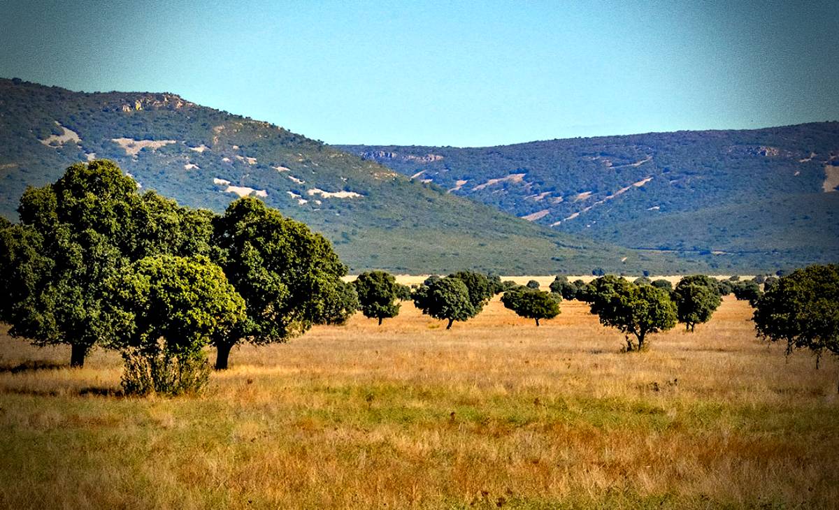 Parques, lagunas, un puente, un desfiladero y un mojón: los centinelas de un territorio