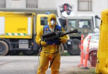 La Junta tranquiliza ante la peste porcina y se ampara en la «profesionalización» del sector