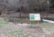 El Sendero de los Sentidos: una ruta en Guadalajara para personas con discapacidad visual