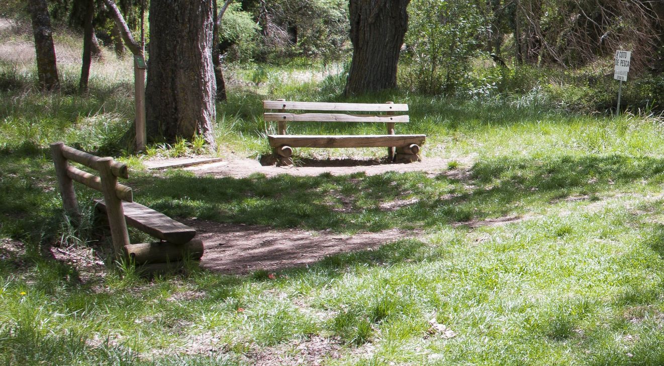 El Sendero de los Sentidos: una ruta en Guadalajara para personas con discapacidad visual