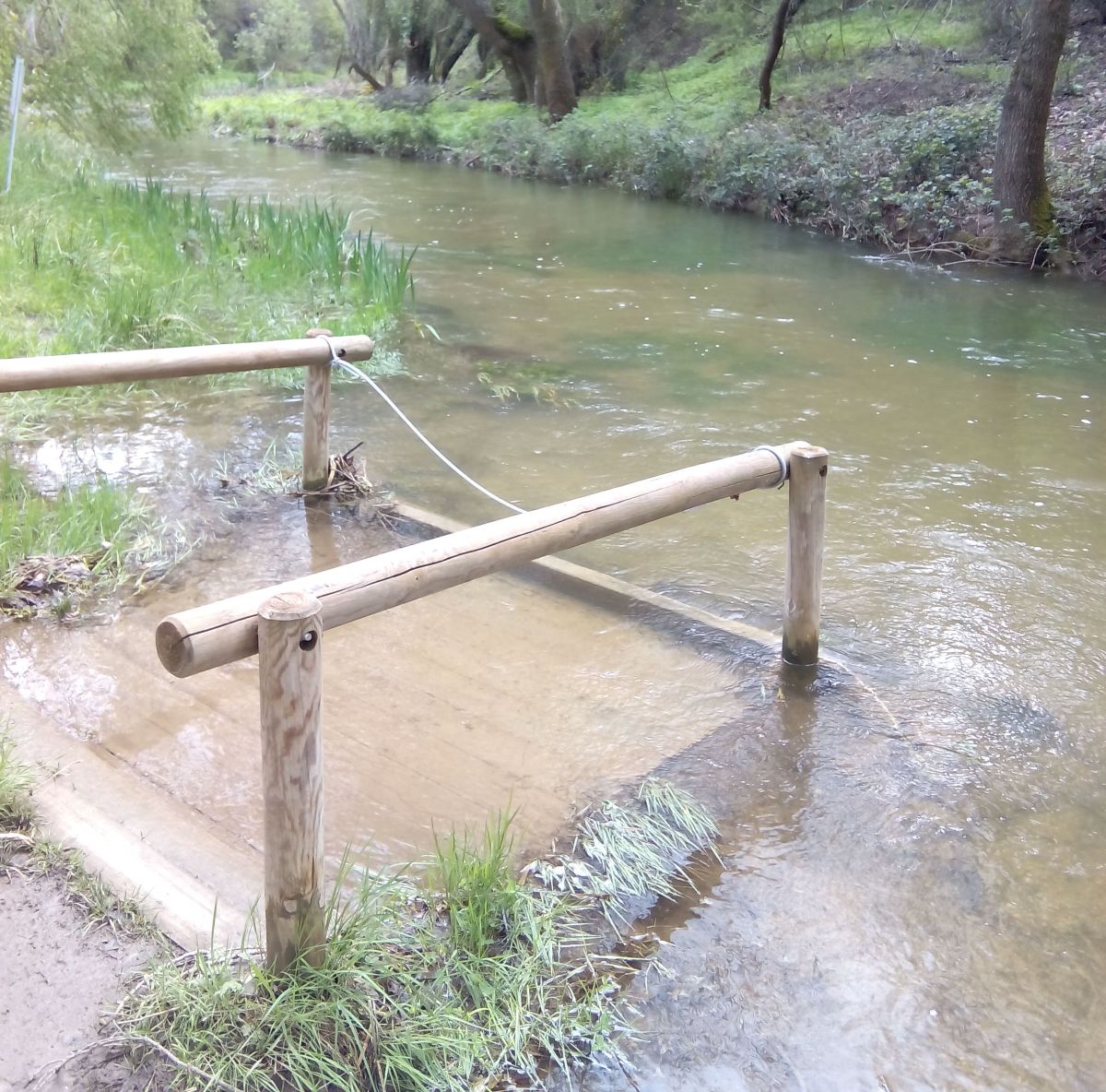 El Sendero de los Sentidos: una ruta en Guadalajara para personas con discapacidad visual
