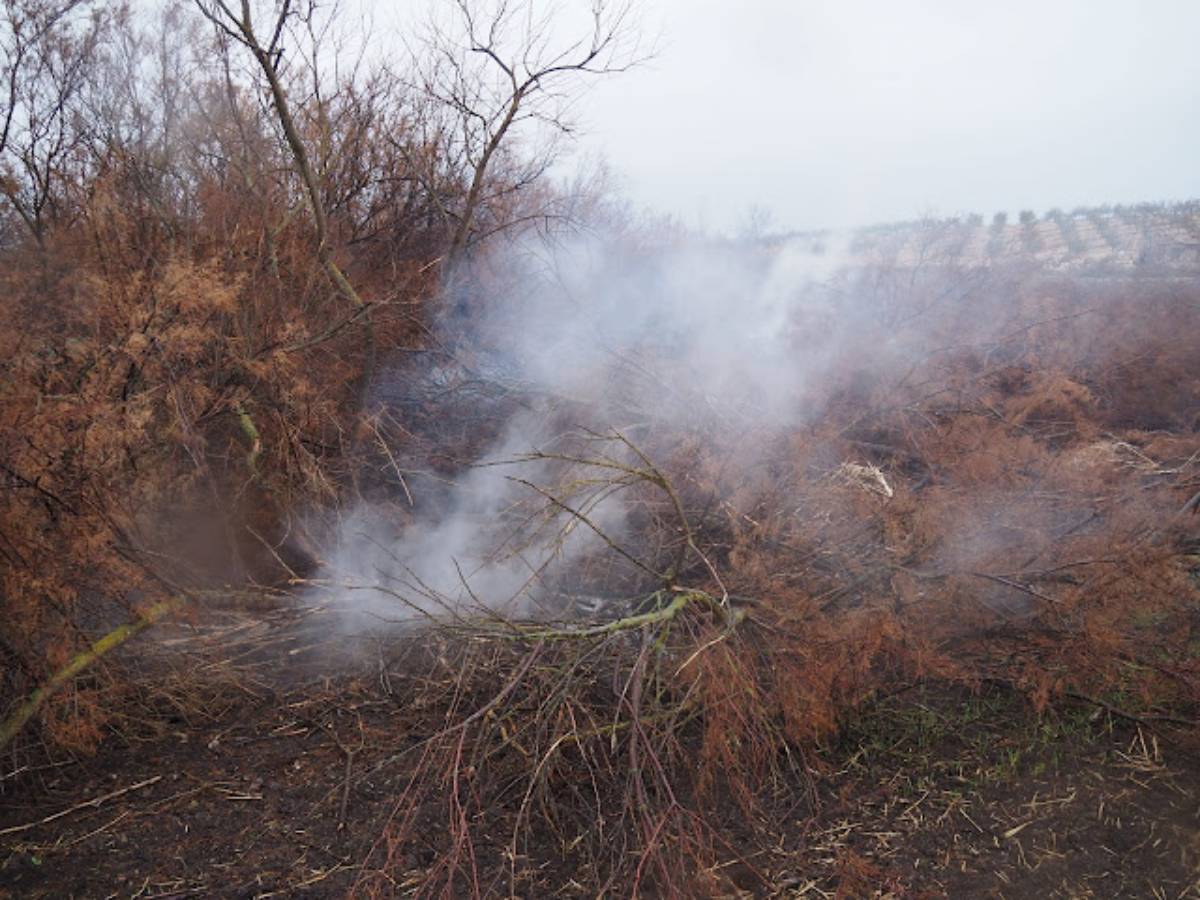 Vuelven a arder las turbas en el cauce del río Guadiana, cerca de Las Tablas de Daimiel