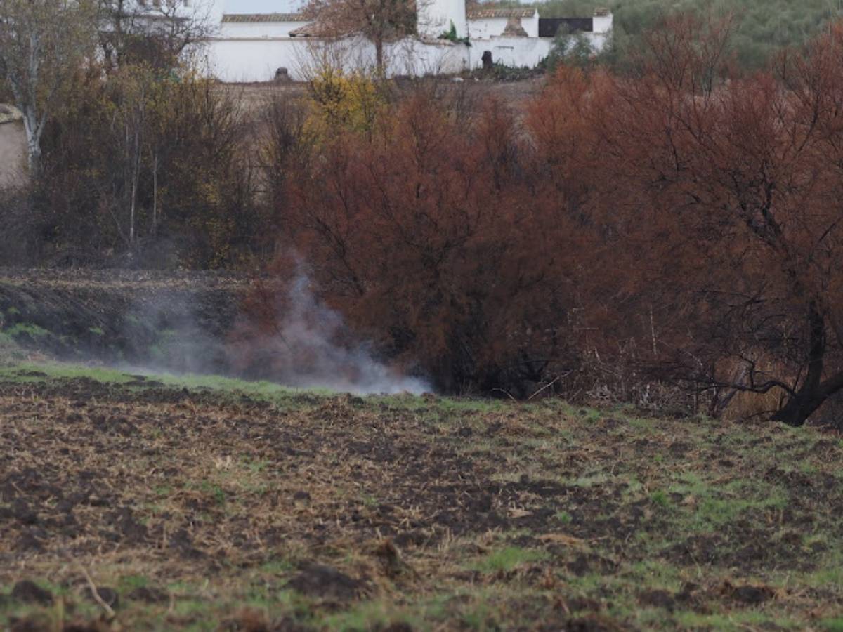 Vuelven a arder las turbas en el cauce del río Guadiana, cerca de Las Tablas de Daimiel