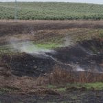 Vuelven a arder las turbas en el cauce del río Guadiana, cerca de Las Tablas de Daimiel
