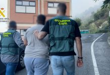 Toledo y Albacete, entre las provincias afectadas por una red que estafaba con la venta de mascotas