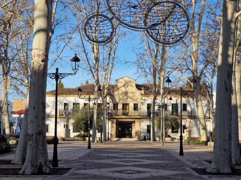 Argamasilla de Alba pierde 148 habitantes en menos de dos años y el PSOE culpa al PP de la “mayor fuga de población de la historia”