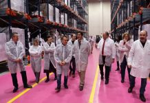 C-LM aprobó en 2025 la reestructuración de más de 4.900 hectáreas de viñedo