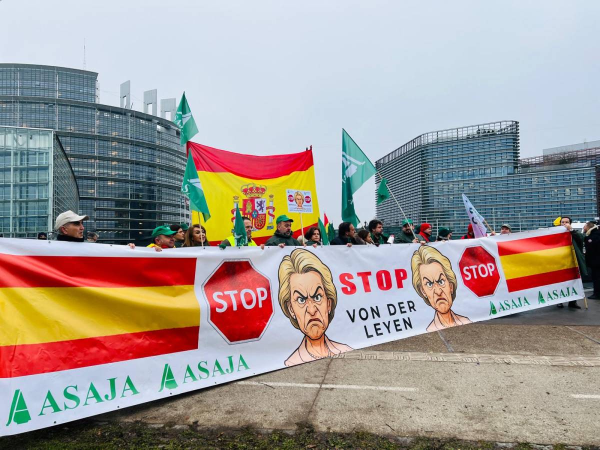 ASAJA exige en Estrasburgo que se investigue judicialmente el acuerdo UE-Mercosur