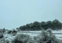 La DGT alerta por la nieve en Castilla-La Mancha: precaución en la A-2 en Guadalajara