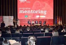 Un impulso al talento investigador con el primer Programa Mentoring de la UCLM