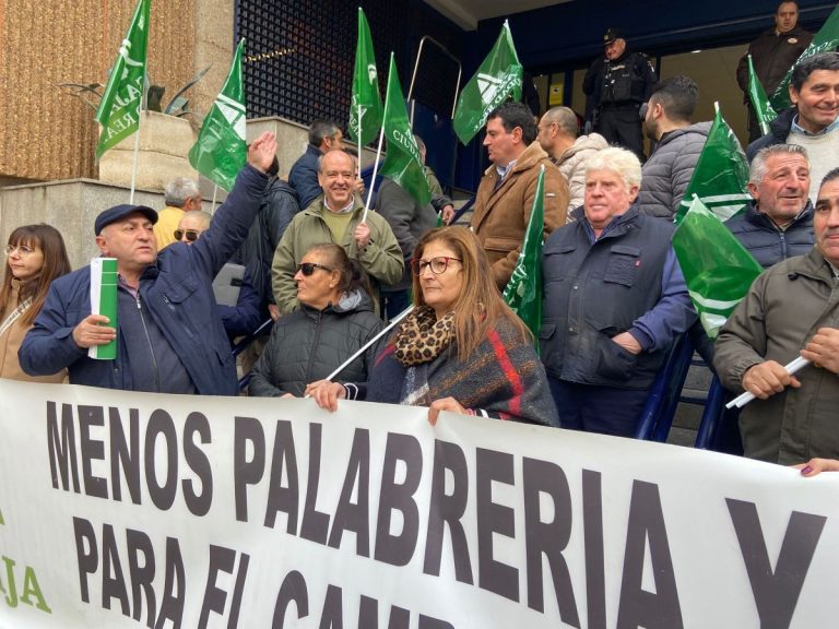 Ganaderos de Ciudad Real piden medidas urgentes por la enfermedad de la lengua azul