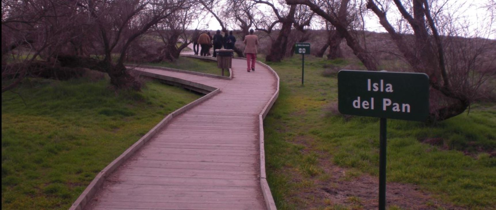 Naturaleza para todos en Las Tablas de Daimiel: así es el recorrido adaptado de la Isla del Pan