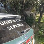 Detectan en Ciudad Real la dispensación irregular de medicamentos recetados por un veterinario investigado en Córdoba