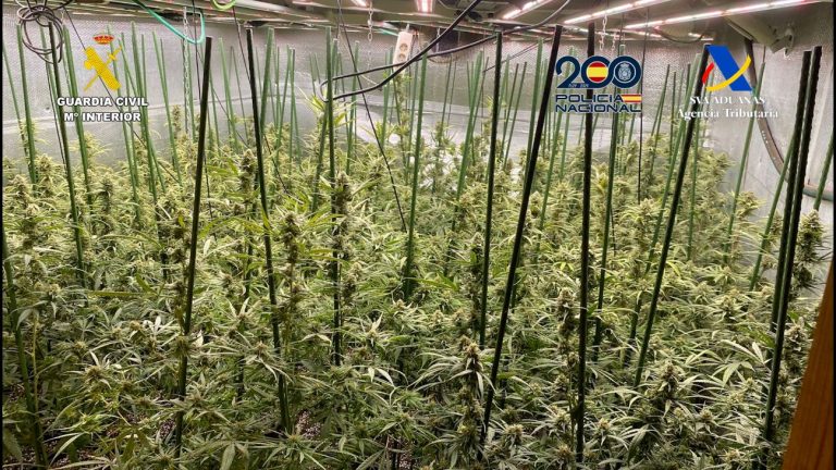 Registros en Toledo por un grupo que enviaba marihuana a Alemania y Polonia