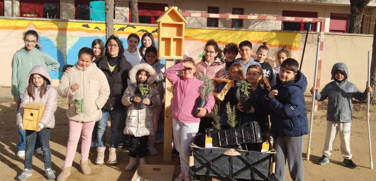 Una iniciativa de la Diputación de Toledo promueve la naturalización de los patios escolares de la provincia